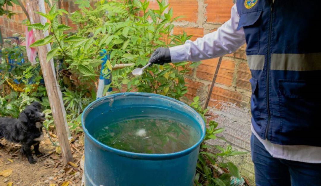 Tres barrios serán premiados en esta iniciativa que busca sensibilizar sobre la importancia de la destrucción de los criaderos de mosquitos.