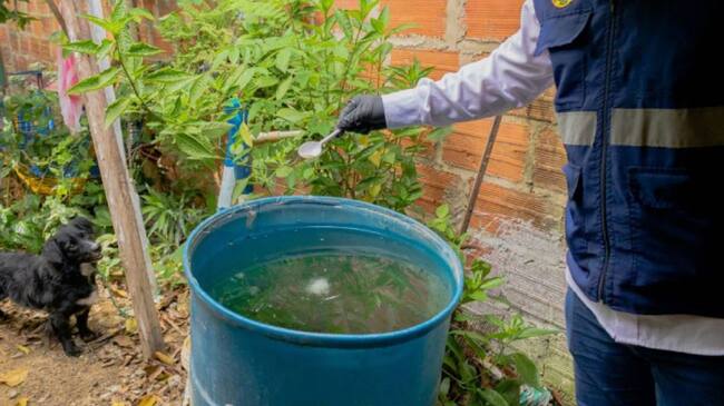 Tres barrios serán premiados en esta iniciativa que busca sensibilizar sobre la importancia de la destrucción de los criaderos de mosquitos.