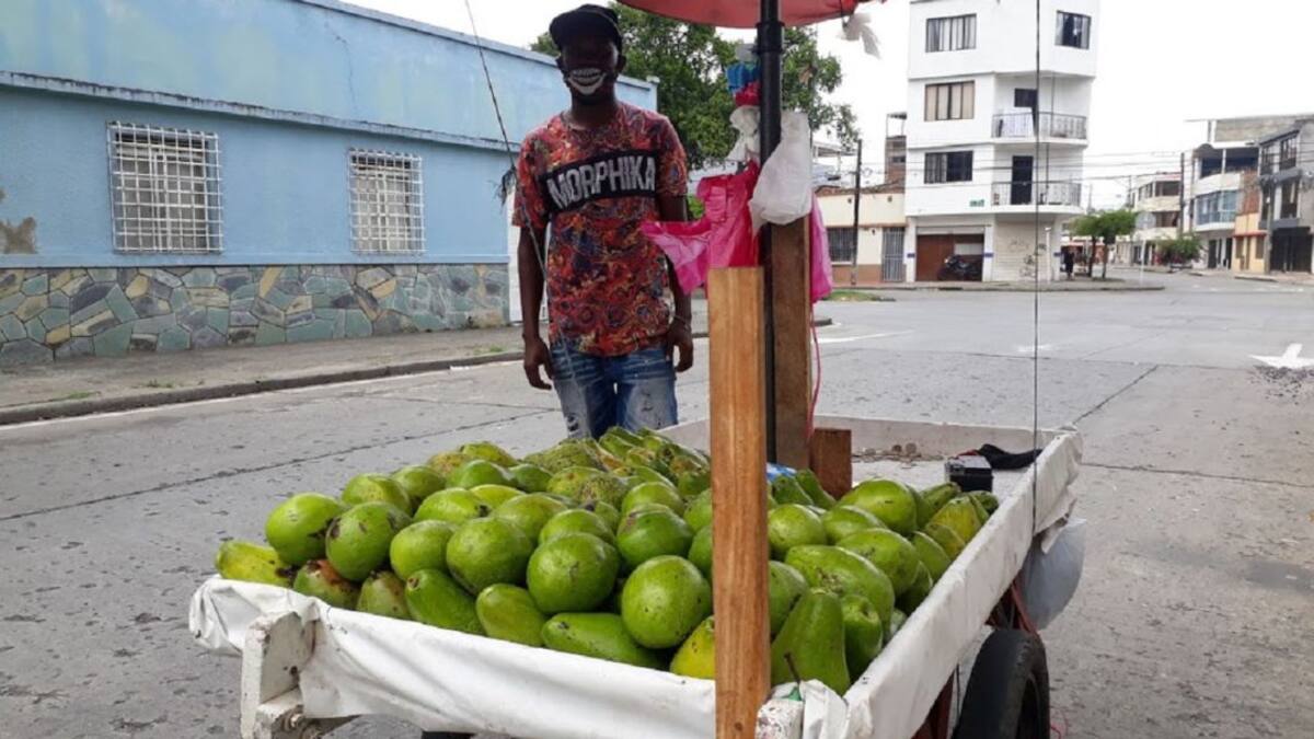 El Aguacatero