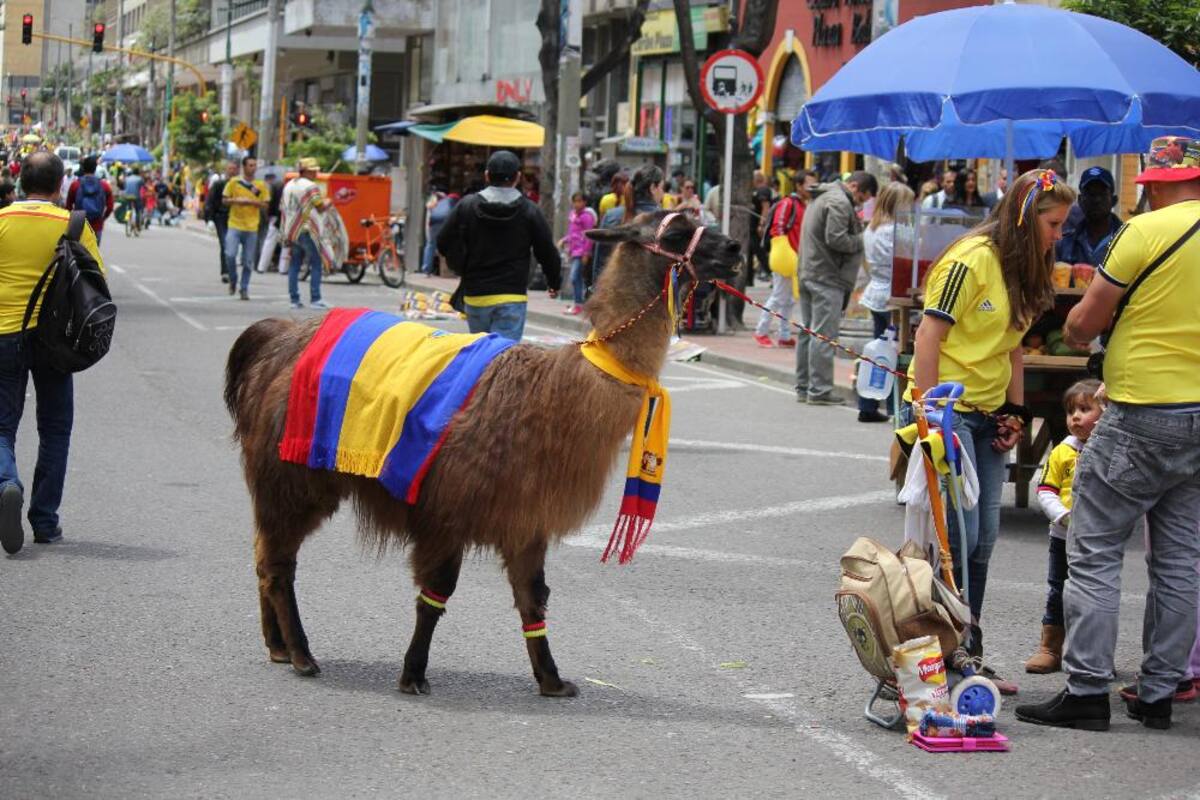 La plaza de Bolívar reúne a miles de hinchas de la selección.