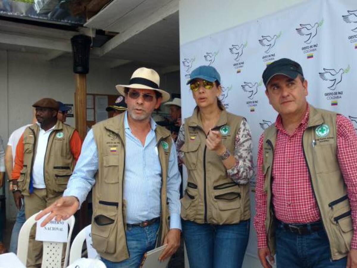Farc aseguran que no han sembrado minas antipersona durante tregua unilateral