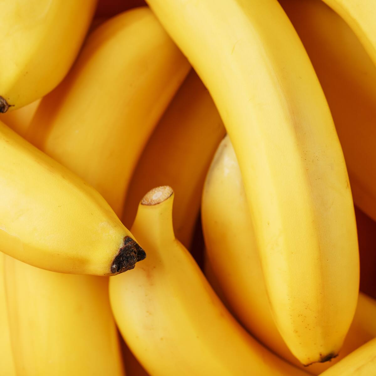 Hay una planta que tiene más potasio que un banano y los médicos la recomiendan para dormir