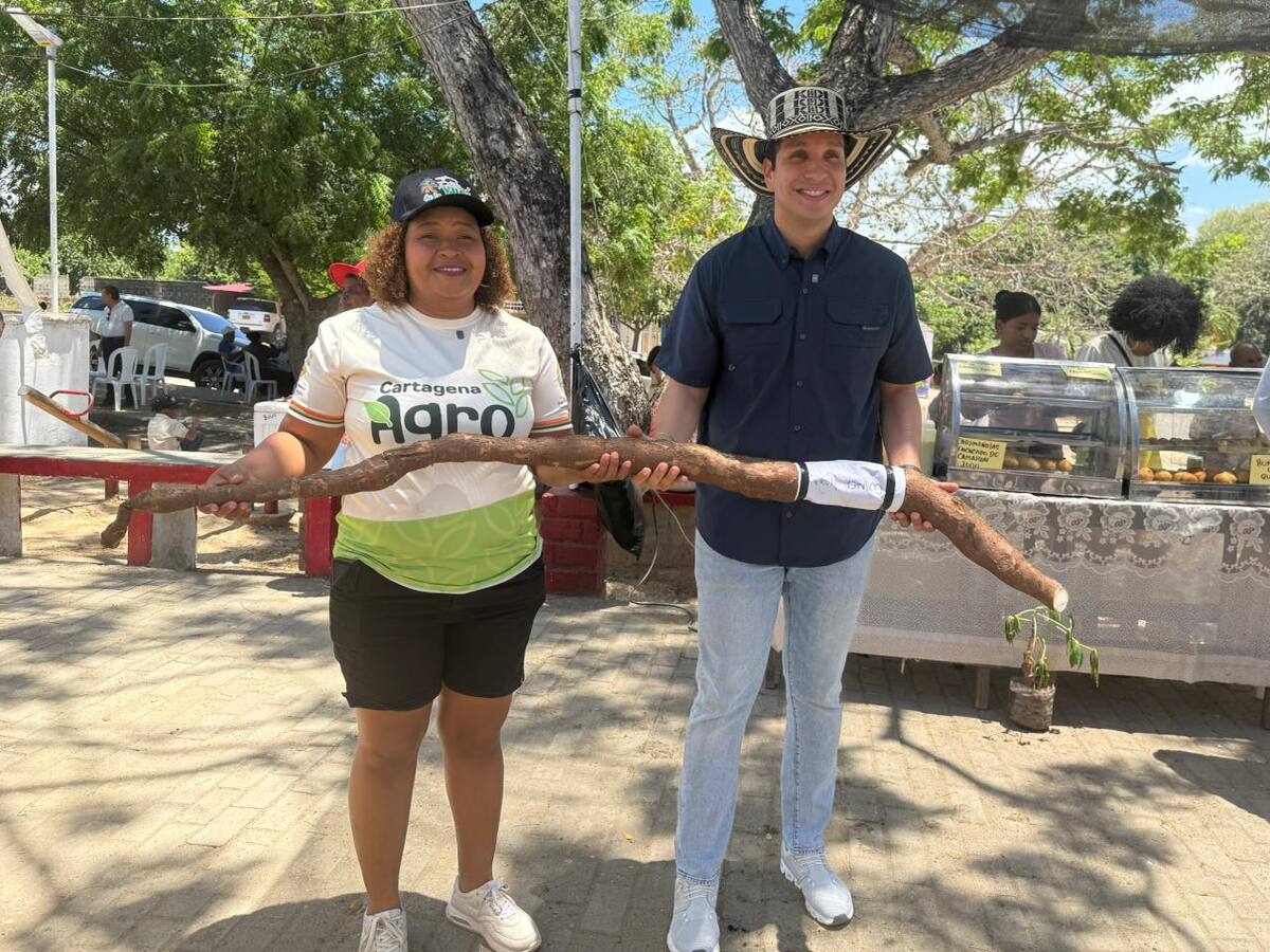 Sexta Versión del Festival Cultural y Gastronómico de la Yuca en Arroyo Grande