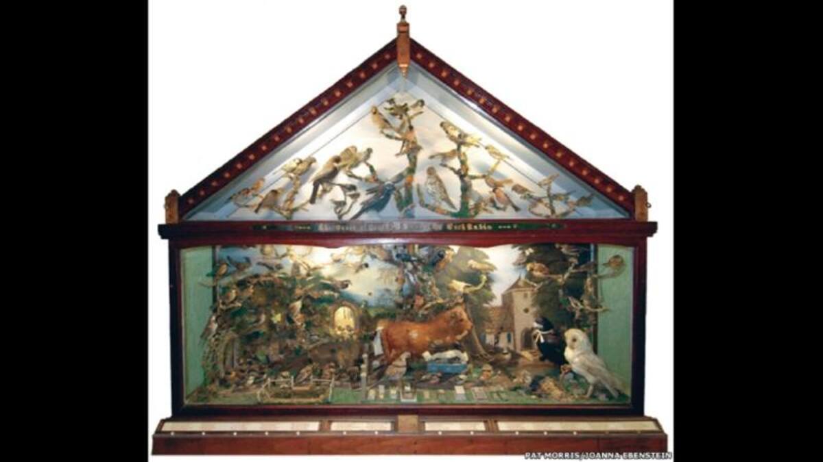 El libro realizado por Morris y Ebenstein, titulado “El curioso mundo de la taxidermia de Walter Potter”, fue publicado por la editorial Constable.