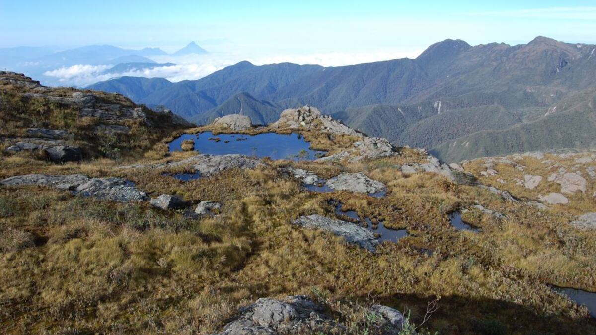 Explotación minera y ocupación irregular del Parque Nacional los Farallones