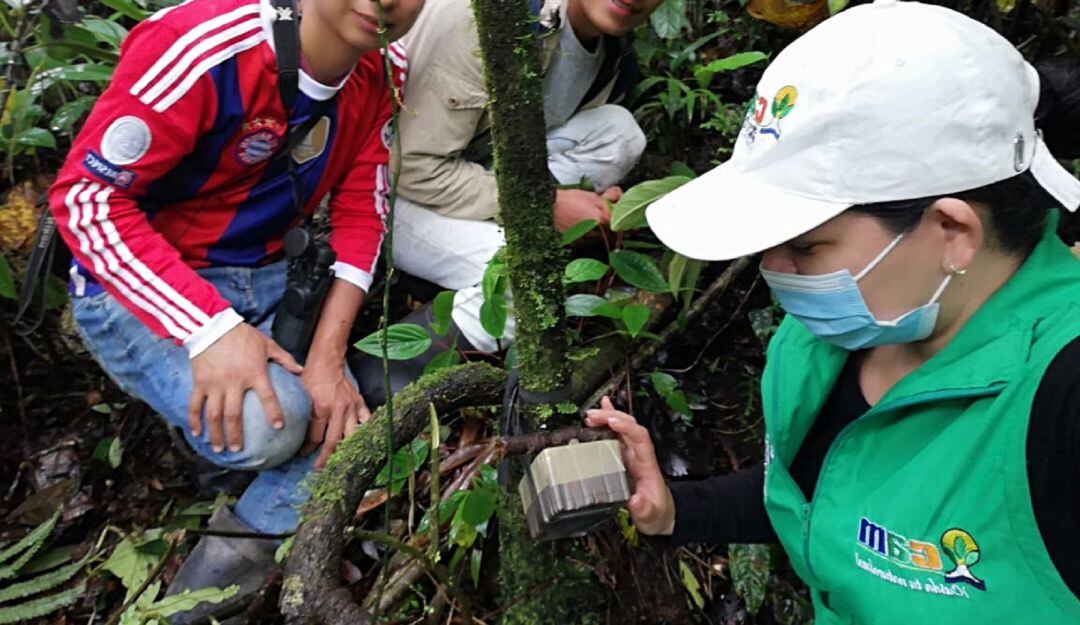 Instalarán cámaras trampa en el parque Nevado del Huila
