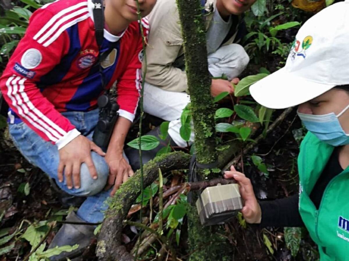 Instalarán cámaras trampa en el parque Nevado del Huila