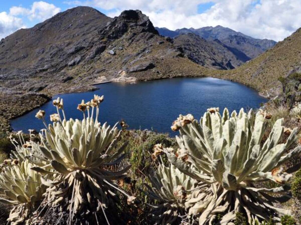 35 ecosistemas del país en peligro de extinción