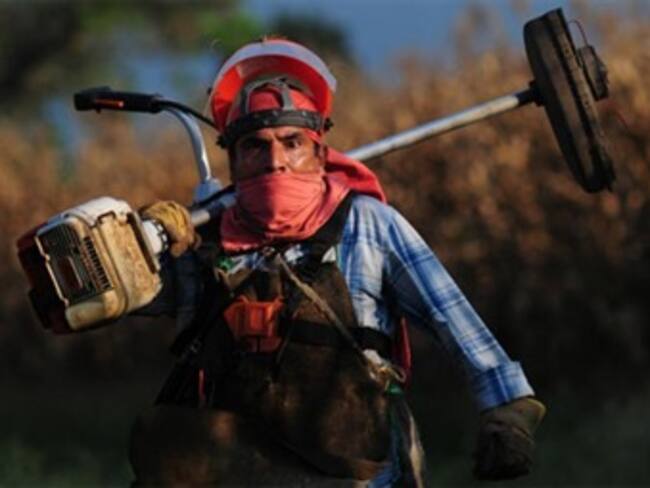 'Porfirio' y 'Todos tus muertos' muestran una realidad de Colombia en Festival de San Sebastián