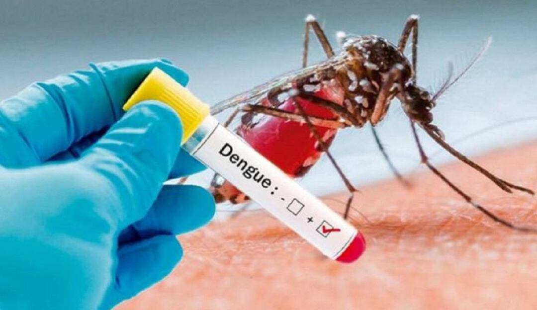 Casos de dengue