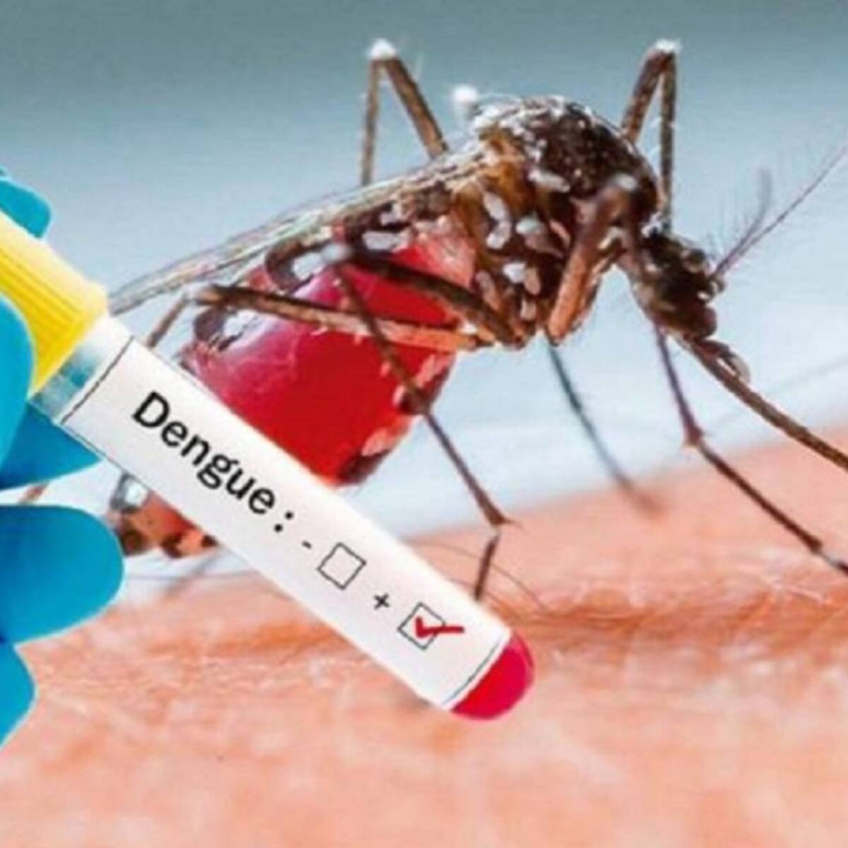 Aumentan los casos de dengue en Cúcuta