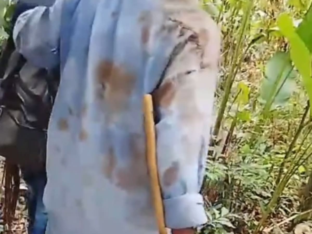 Veeduría denuncian ataque contra equipo periodístico de National Geographic en Puerto Boyacá