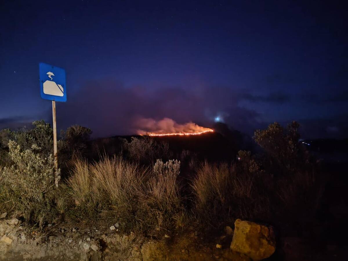 100 hectáreas afectadas en incendio que aún continua en el Parque Nacional Los Nevados