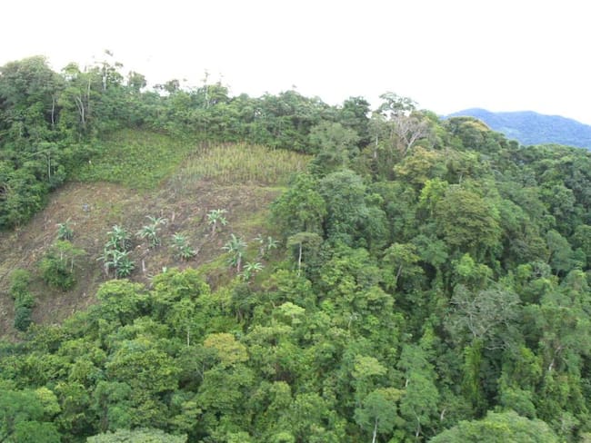 Nueva movilización por los bosques secos del Chicamocha