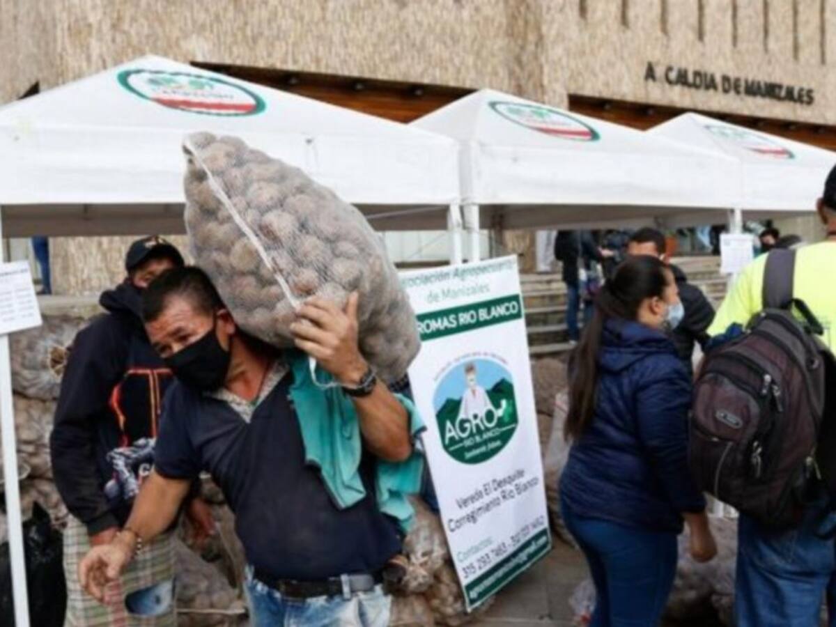 Otra papatón se realizará hoy en Manizales