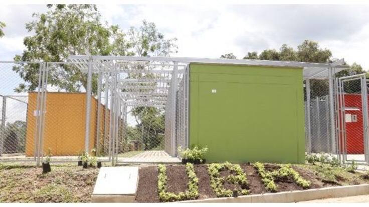 Animales muertos guardados en un congelador no recibieron atención especializada en la UBA