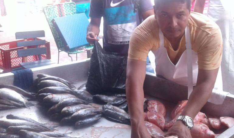 Factores climáticos aumentaron la oferta de pescado en diferentes mercados de la costa y el país.