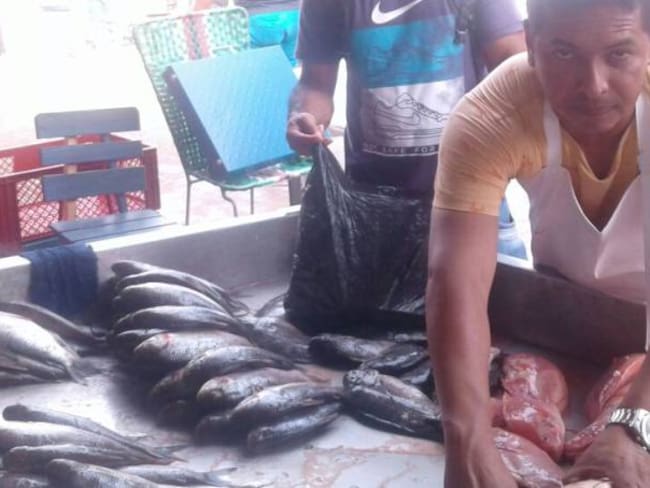 Factores climáticos aumentaron la oferta de pescado en diferentes mercados de la costa y el país.