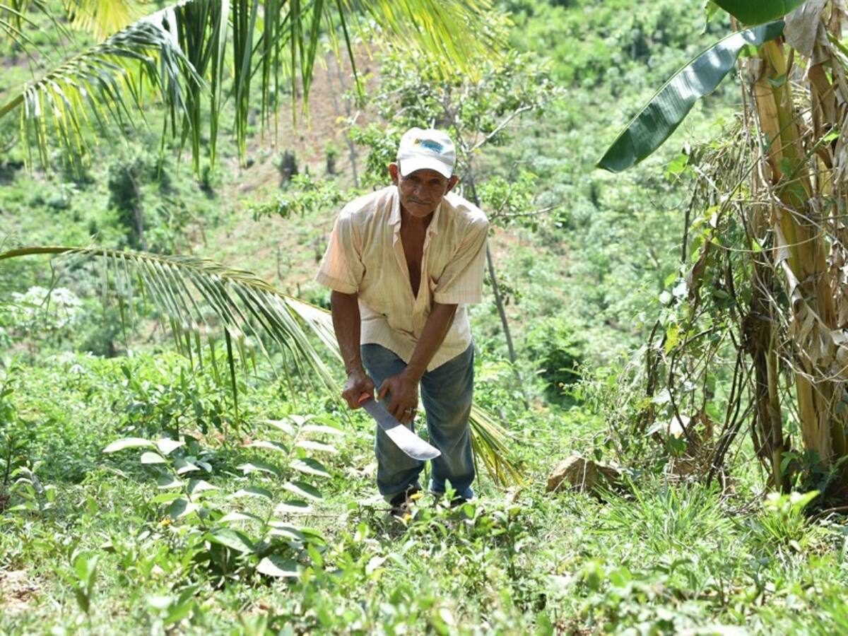 Alcaldía de Turbaco creó proyecto para impulsar la competitividad en el sector agrícola