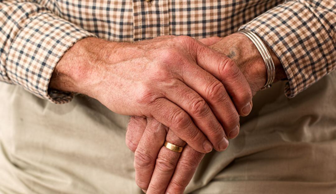 Imagen de referencia