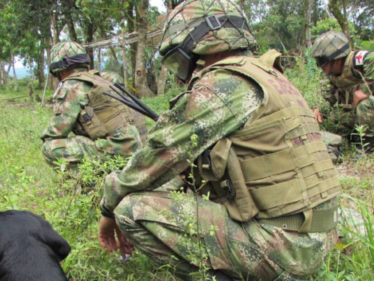 “Confianza institucional”: Comandante Fuvul