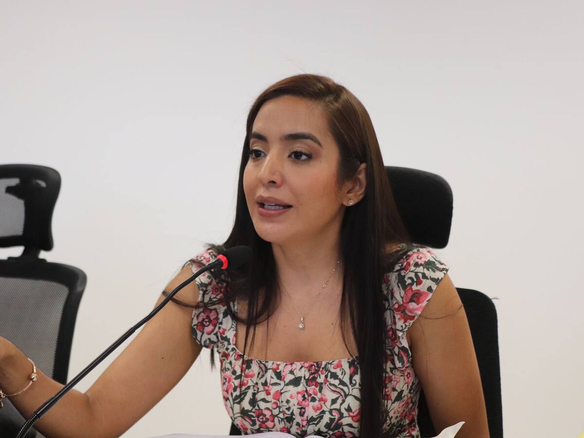 Concejo conforma comité de seguimiento para proyectos de drenajes pluviales