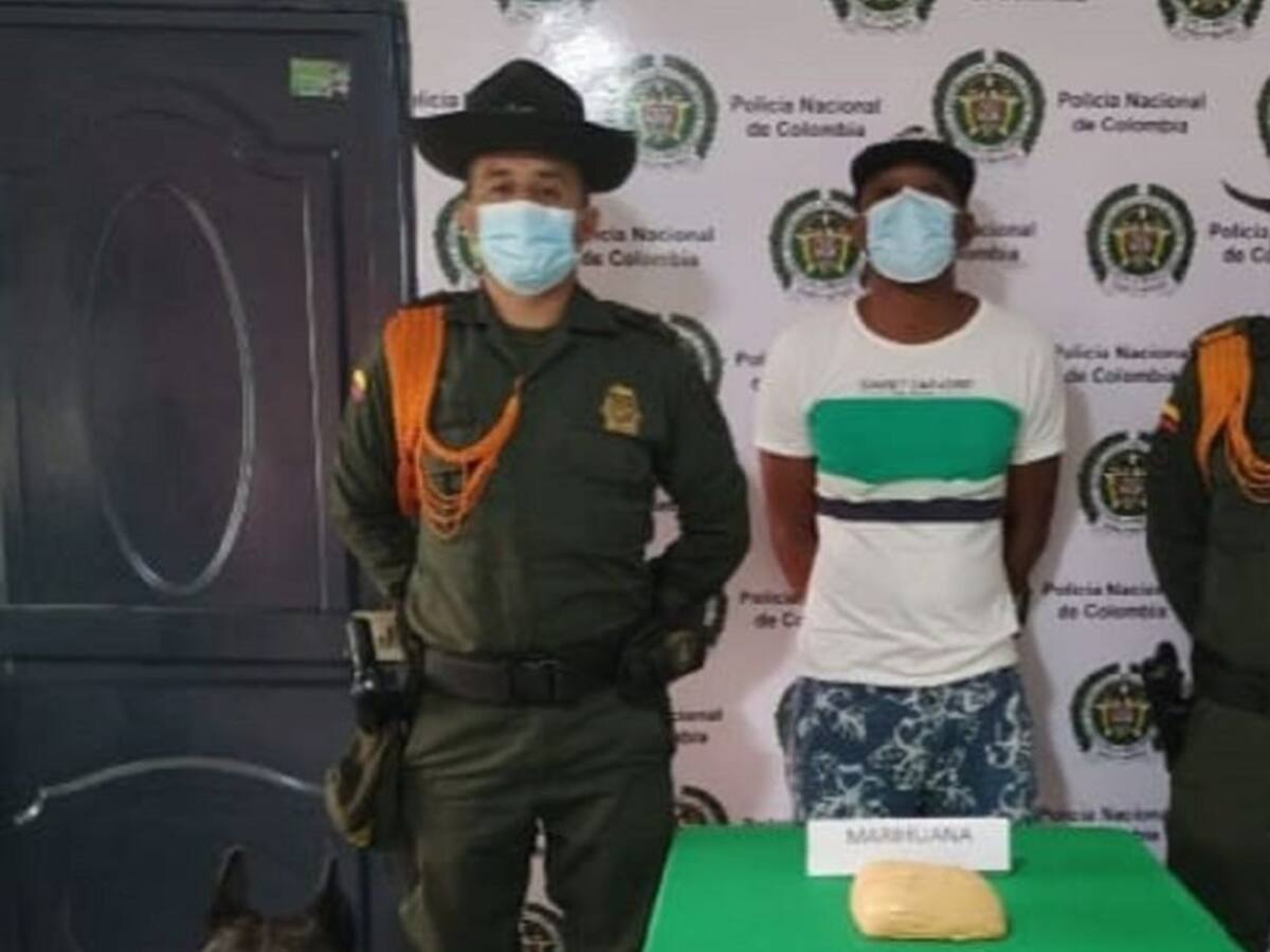 Canino antidroga halla marihuana en un bus intermunicipal en el Atlántico