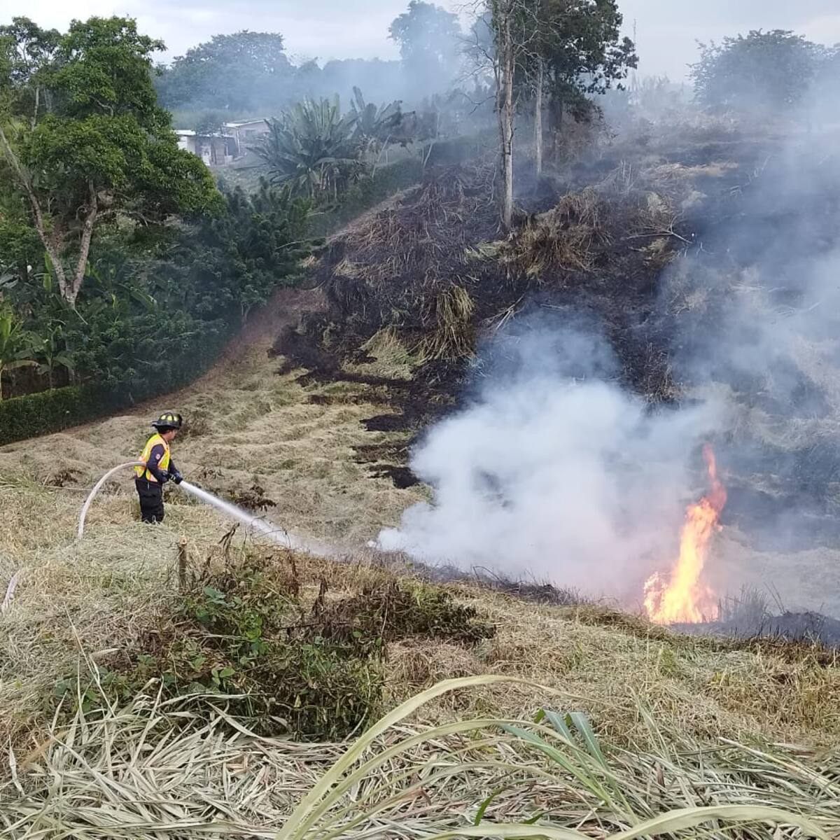 Alerta por incendios de cobertura vegetal en Armenia, llaman a evitar las quemas