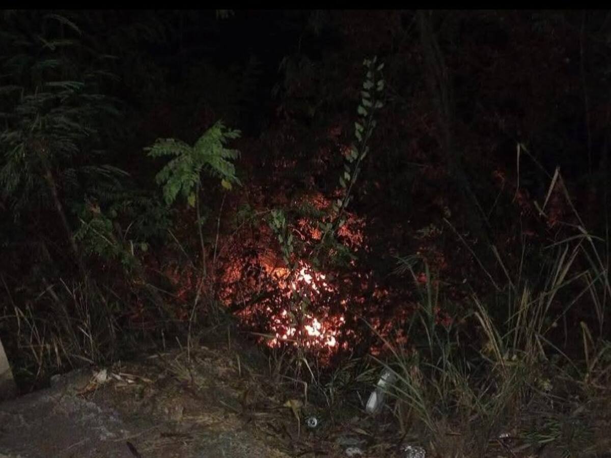 Autoridades reportaron tres incendios forestales en el departamento de Caldas