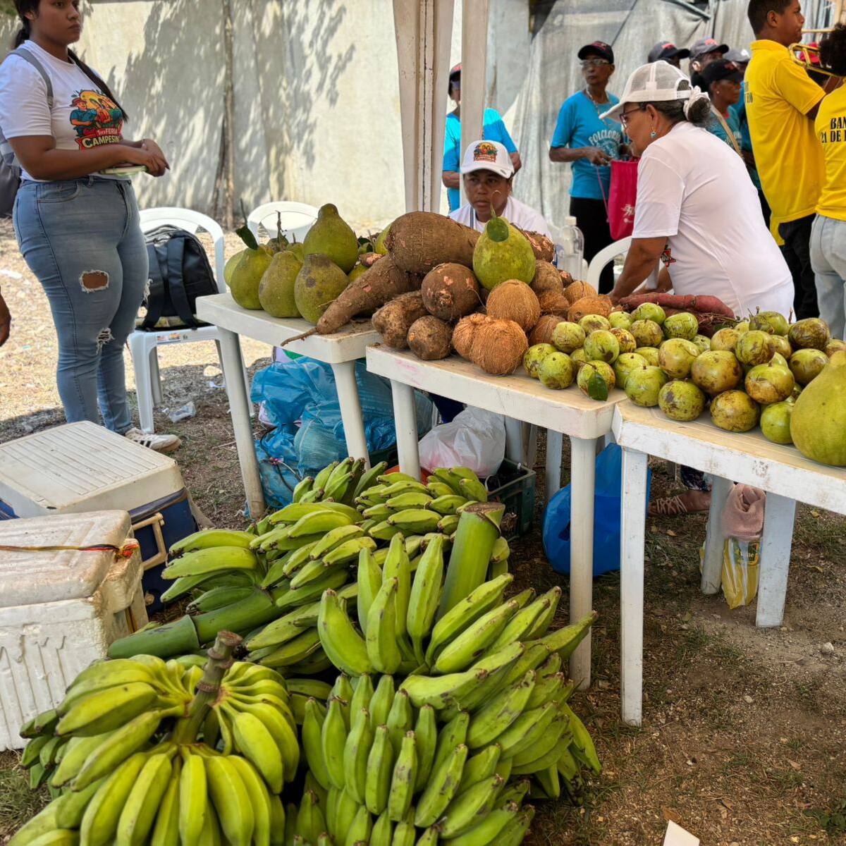 Mercado Campesino dinamiza la economía rural y fortalece el tejido productivo en Loma de Arena