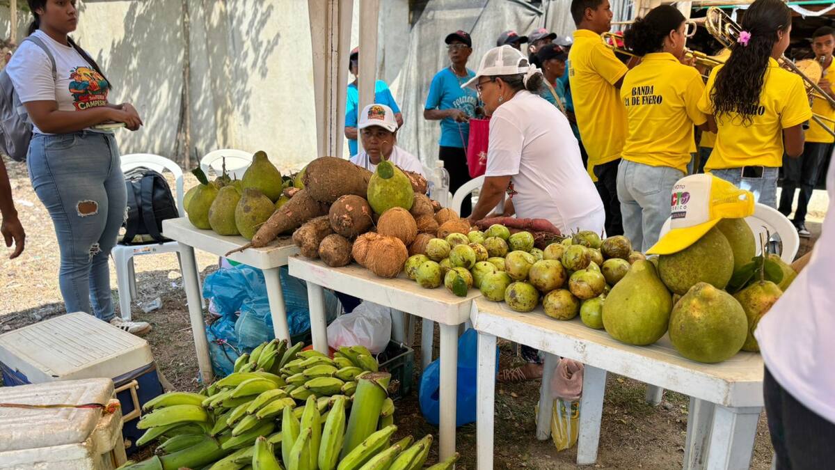 Mercado Campesino dinamiza la economía rural y fortalece el tejido productivo en Loma de Arena