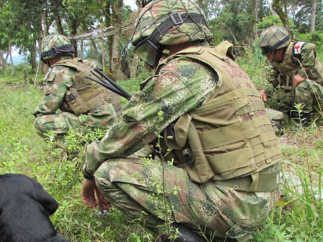 Duro golpe del Ejército a presuntas disidencias en Caquetá y Putumayo