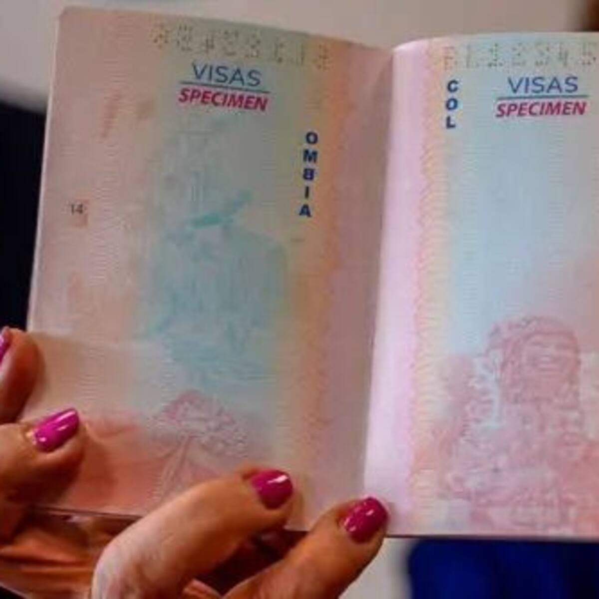 Cancillería confirma que ninguna aseguradora privada aceptó amparar contrato de pasaportes
