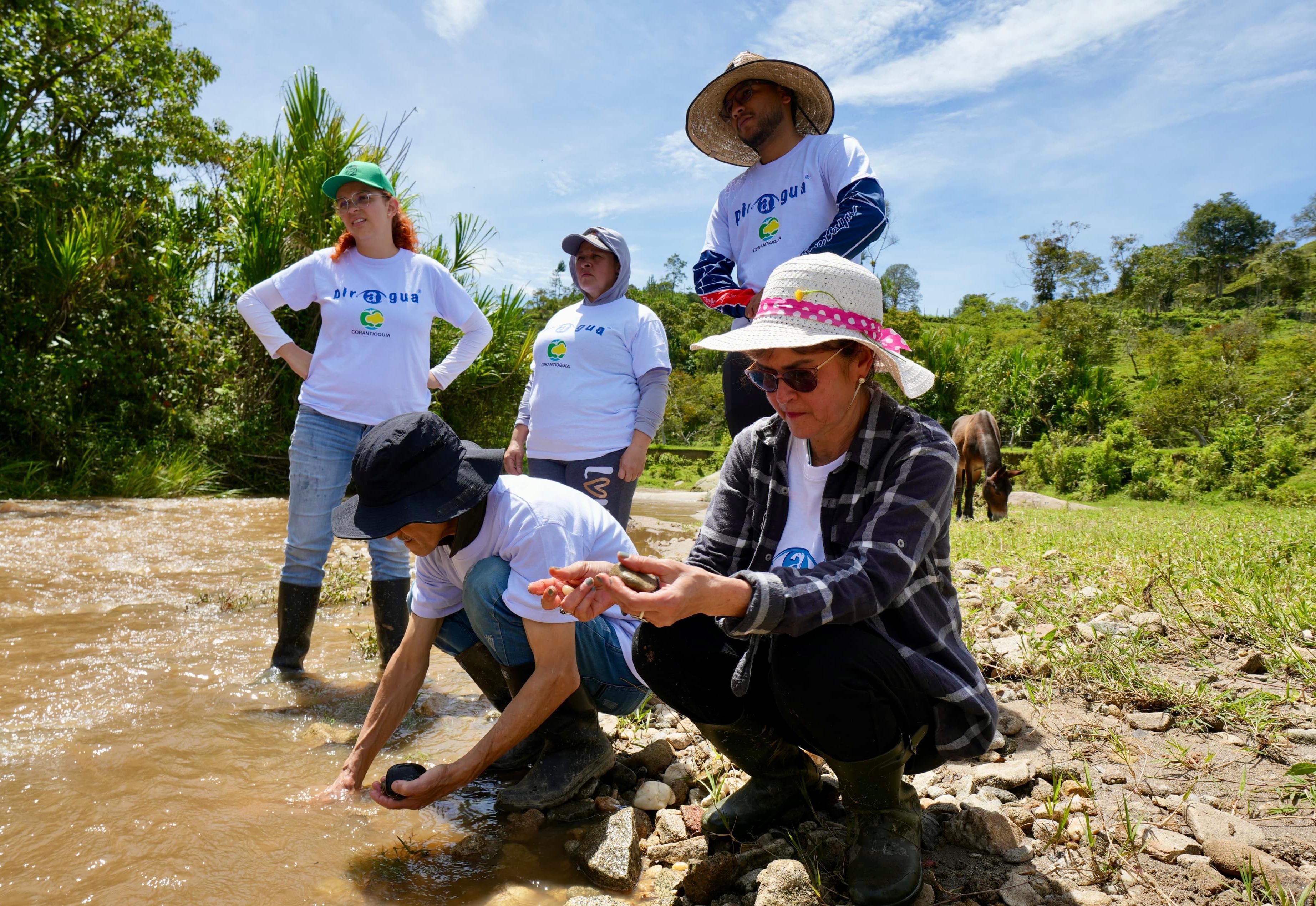 Corantioquia alerta sobre los riesgos de retirar indiscriminadamente la vegetación acuática. Foto: Corantioquia.