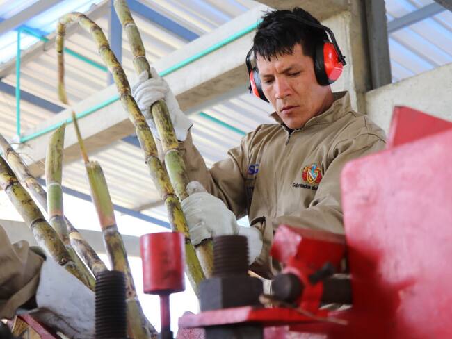 Con esta nueva estrategia se busca aumentar los rendimientos y estándares sanitarios de producción en el proceso de agregación de valor en el sistema productivo de la panela en el Departamento del Huila