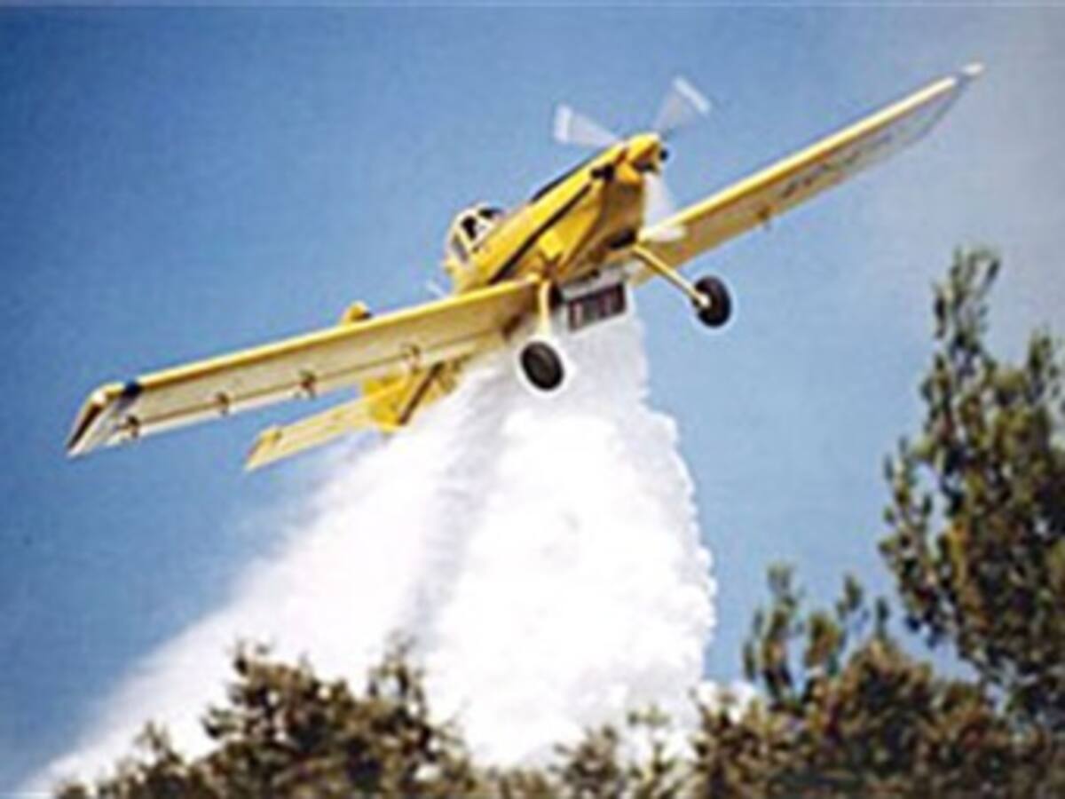 Colombia se defiende ante demanda de Ecuador en la Haya por fumigaciones en la frontera