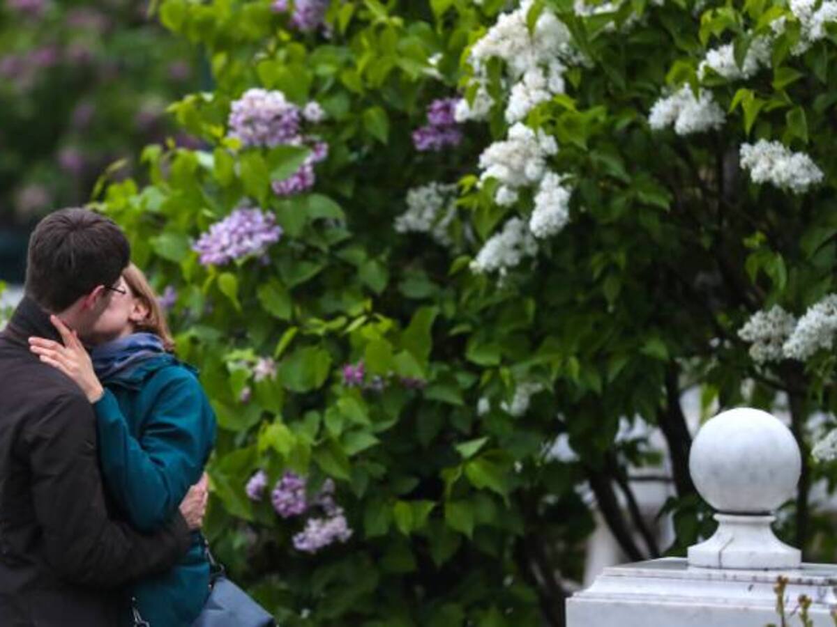 Seis elementos para el éxito en el amor de pareja