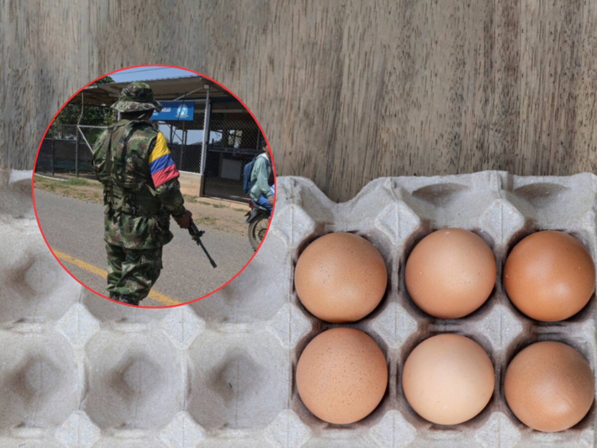 Extorsión y secuestro: grupos armados arremeten contra el sector avícola del país