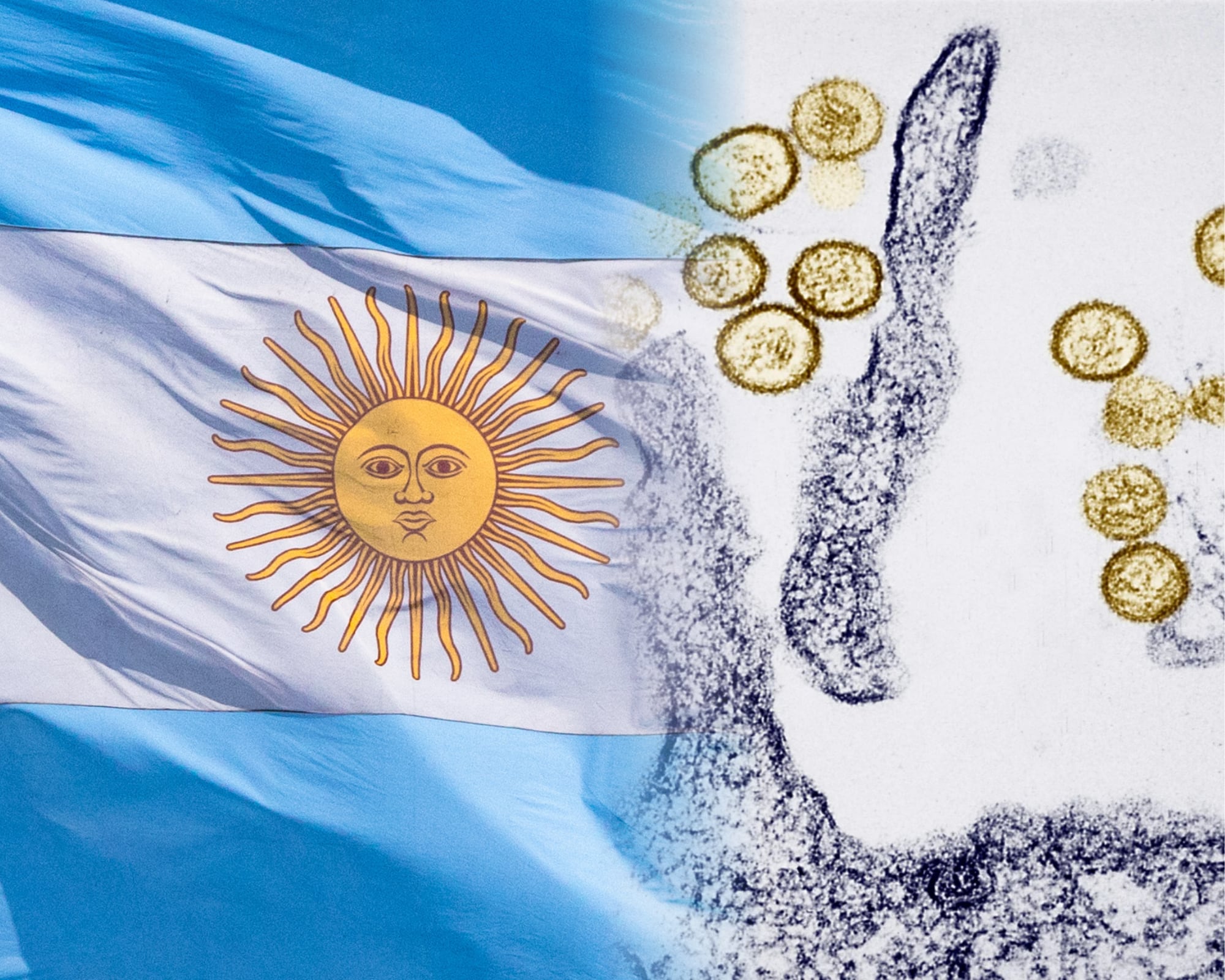 La autoridad sanitaria argentina dice que “no es posible confirmar el origen del contagio” de hantavirus que fue detectado en el crucero turístico.
(Foto:   Caracol Radio / Getty )
