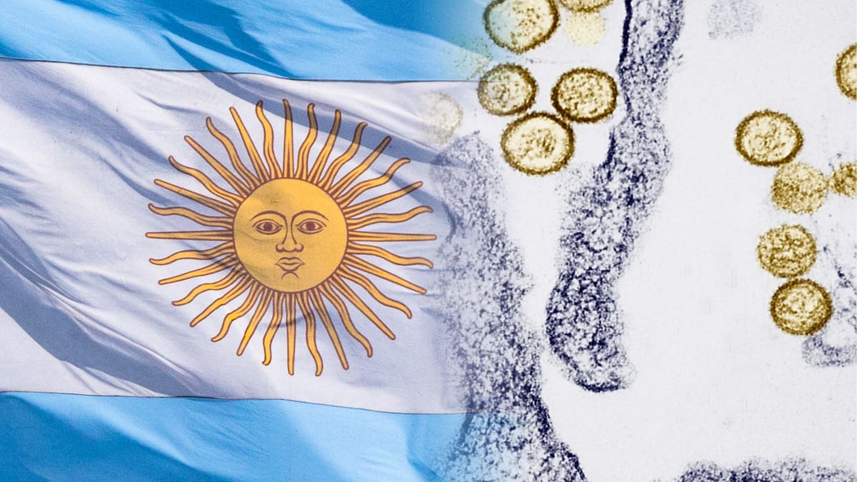 Hantavirus: Argentina refuerza vigilancia epidemiológica