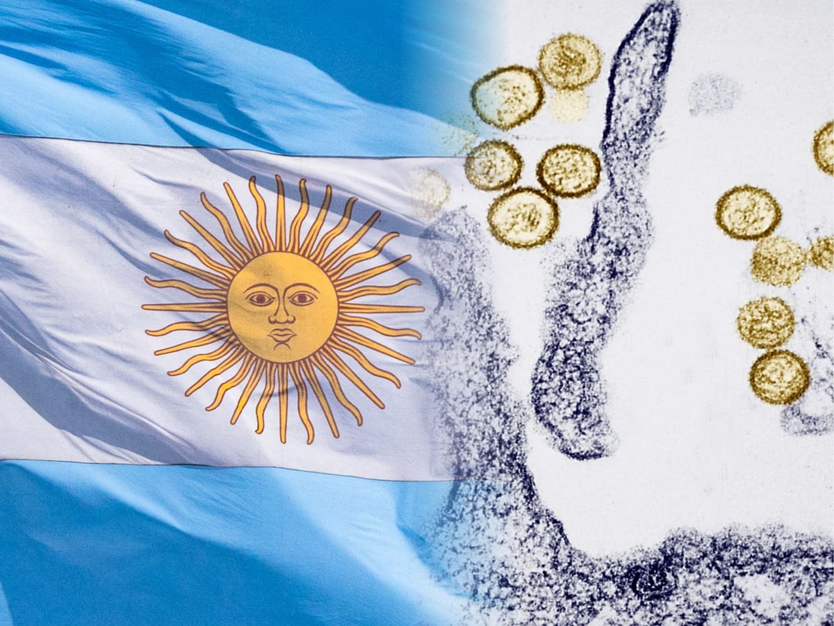 Hantavirus: Argentina refuerza vigilancia epidemiológica