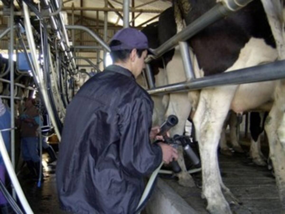 Gobierno lanza salvavidas al sector lechero en medio de críticas al TLC con la UE