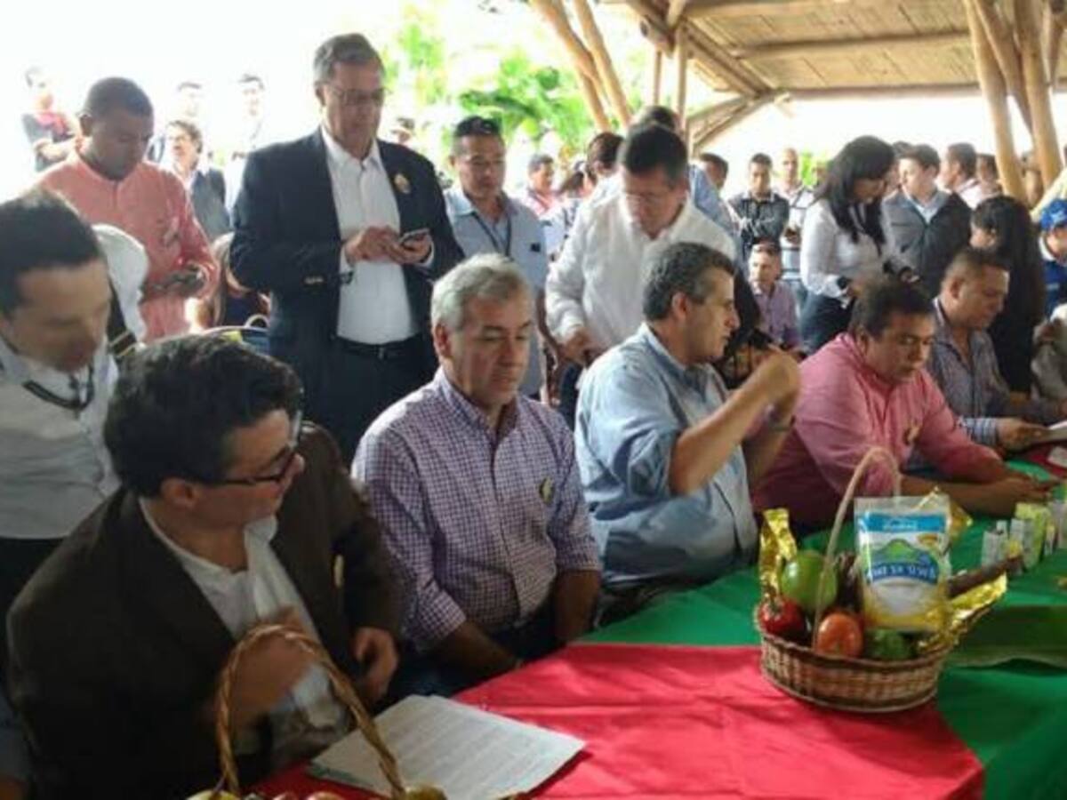 En Corinto, norte del Cauca, comunidades reclaman permisos para marihuana medicinal