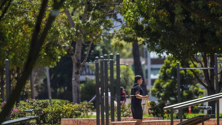 "La mayoría de talas es por riesgo y otras por infraestructura"