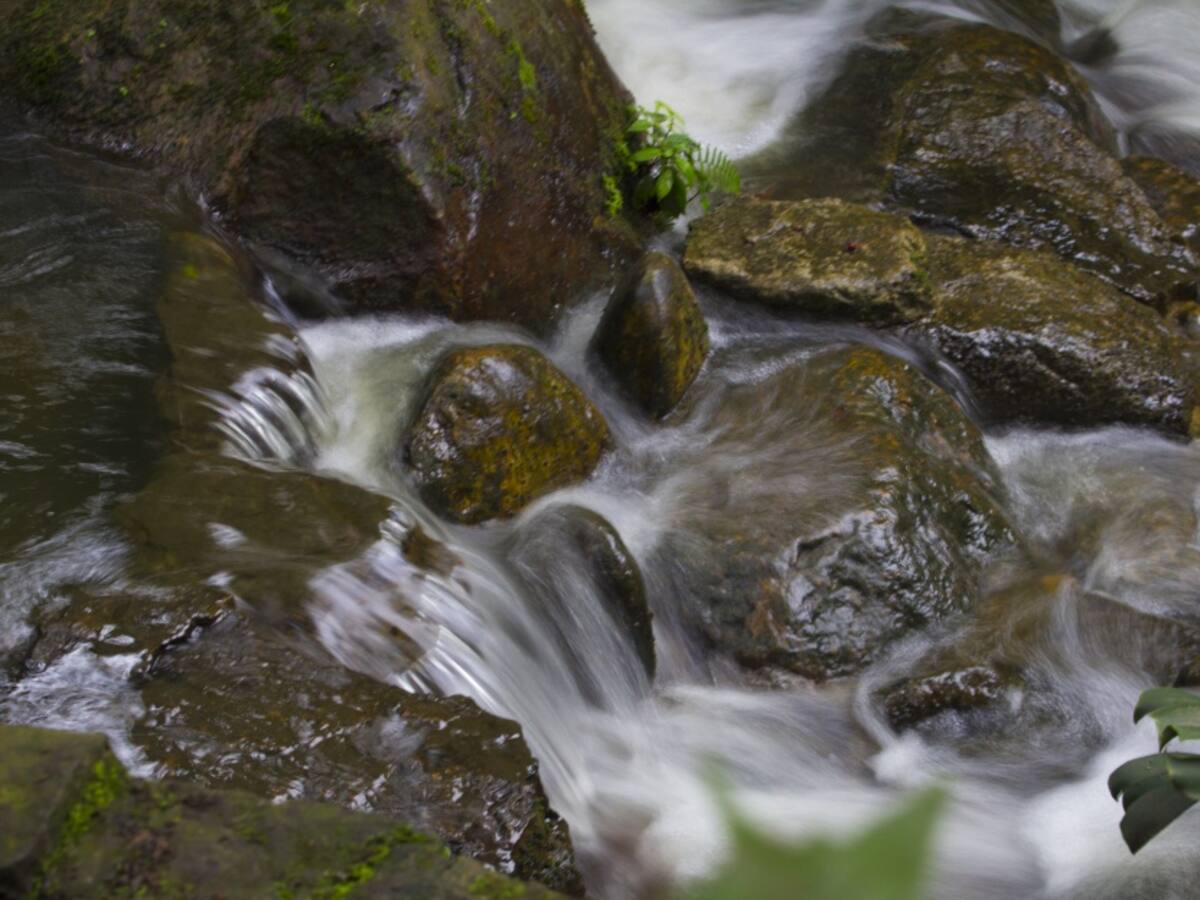 Hallan otro cuerpo sin vida en el río Cauca, cerca a Caldas