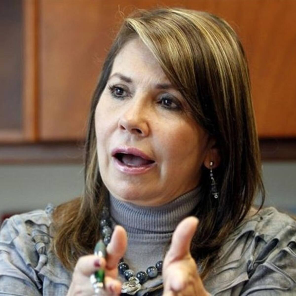 Piden a la Procuraduría medida preventiva contra magistrada que suspendió resolución de MinAmbiente