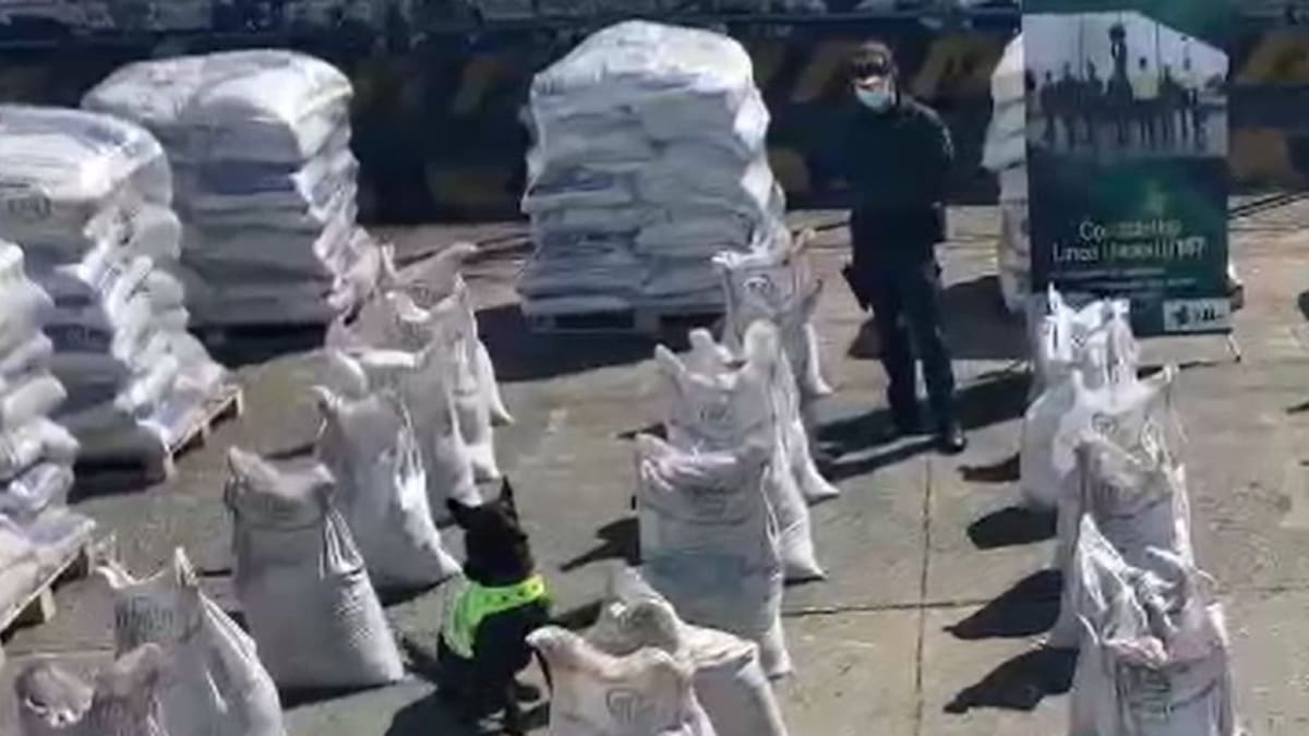 Perro antinarcóticos descubre más de 2 toneladas de coaína en Buenaventura