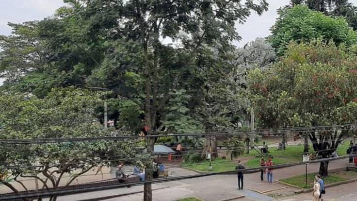 Informe decreto sustancias en Armenia