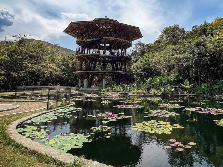Jardín Botánico de Cali (Foto @jardinbotanico_cali)