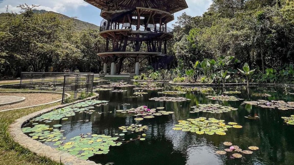 ¿Cuánto dura el recorrido Jardín Botánico de Cali? Valor boleta y cómo comprarla en línea